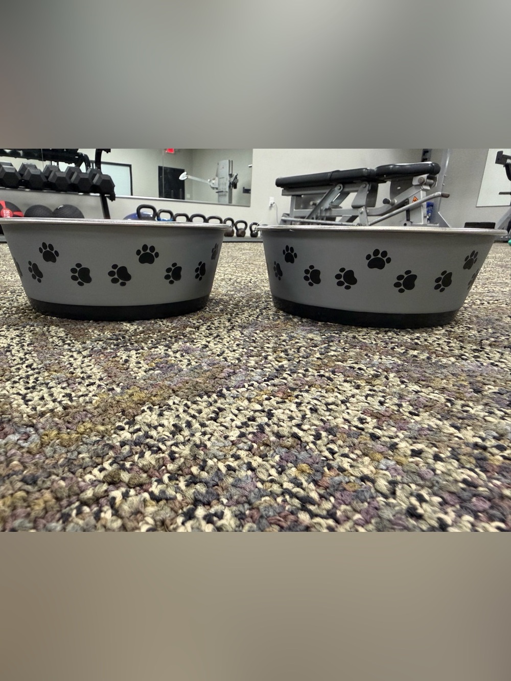 Vibrant Silver Pet Bowl with Black Non-Slip Rim set of 2